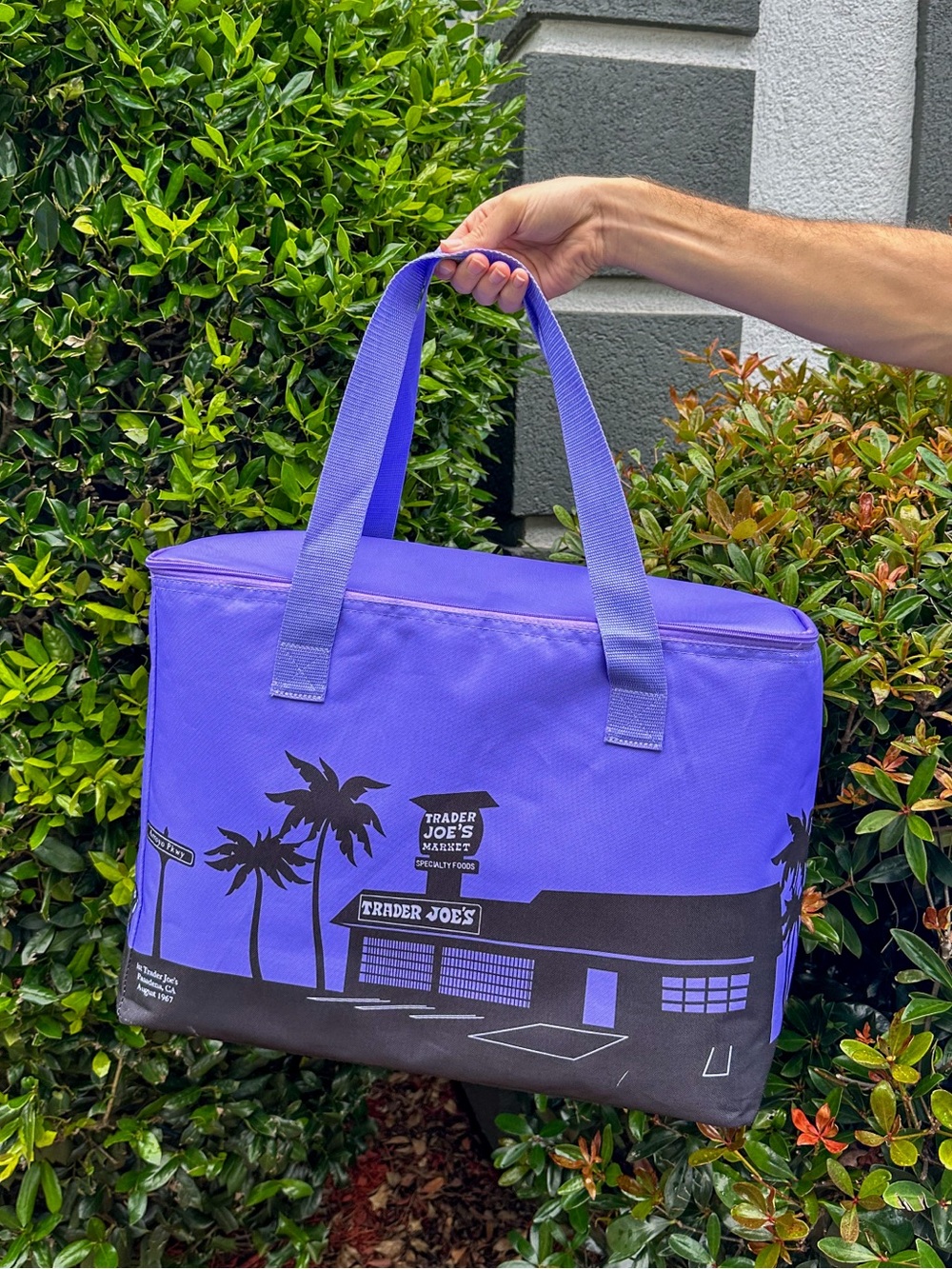 💜Trader Joe’s Cooler Bag